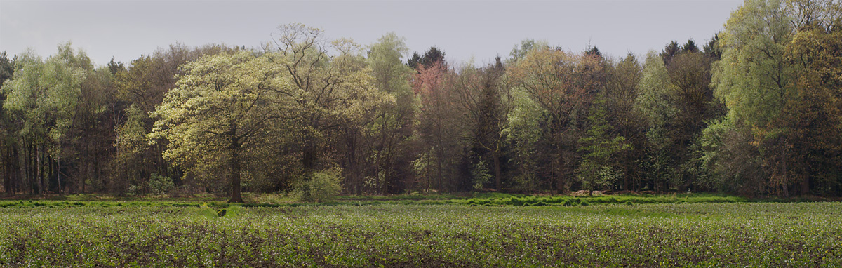 A051_C012_0101FK