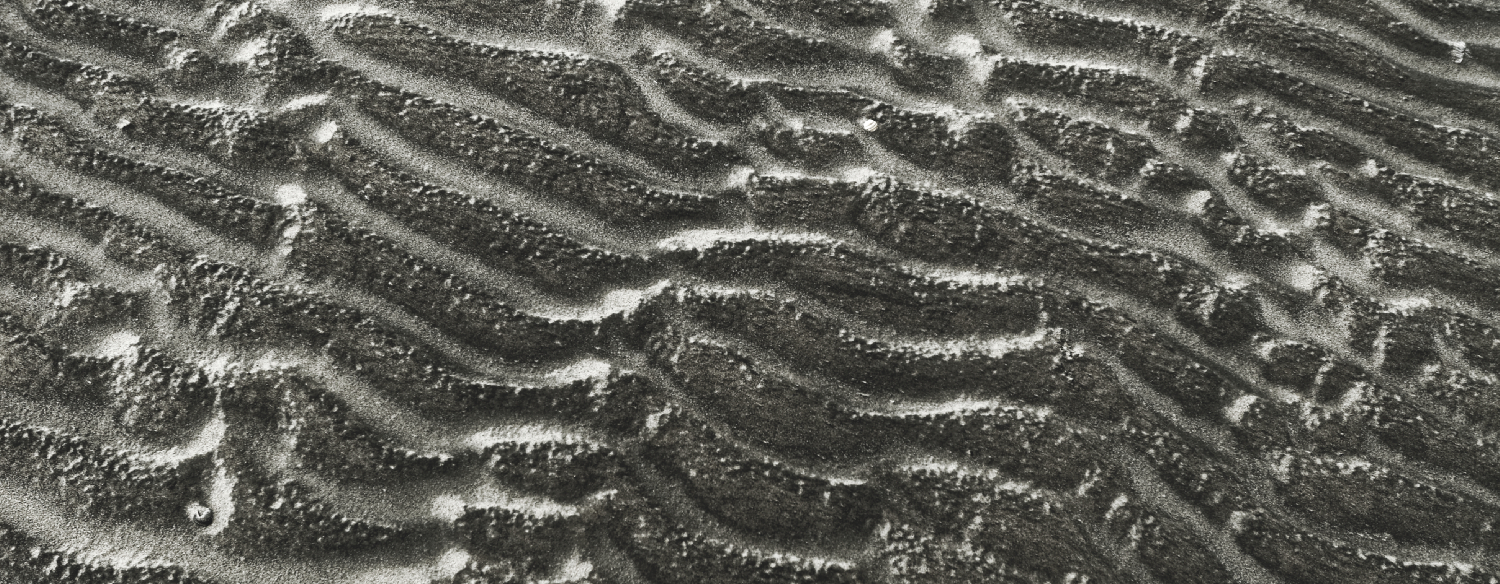 strand Oudduin2